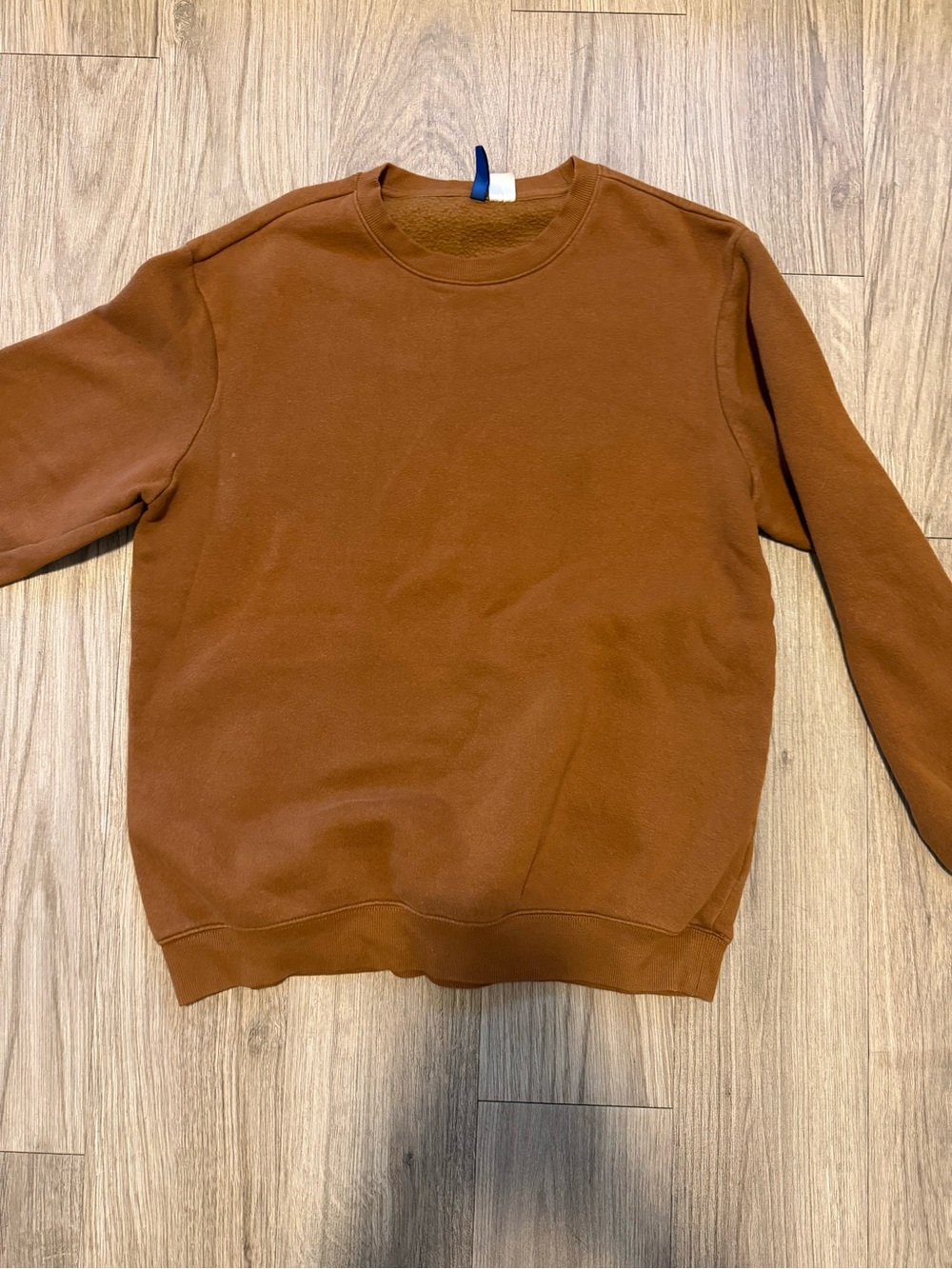 Divided Men's Crewneck Sweater in Rust